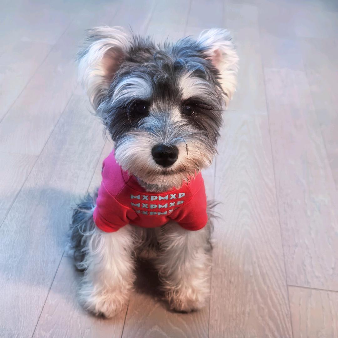 不发脾气只发财💰