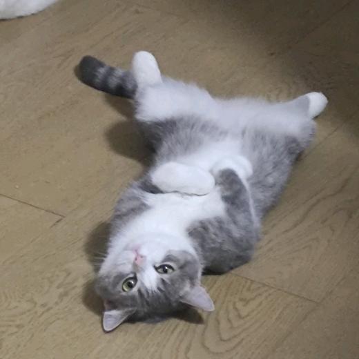 小铺mYC