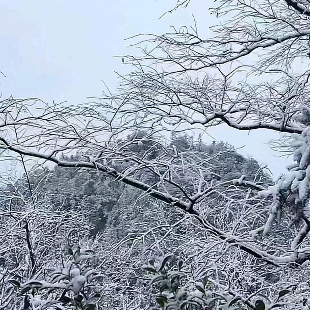 💗᭄余生ᝰᩚ随心ꦿ໌