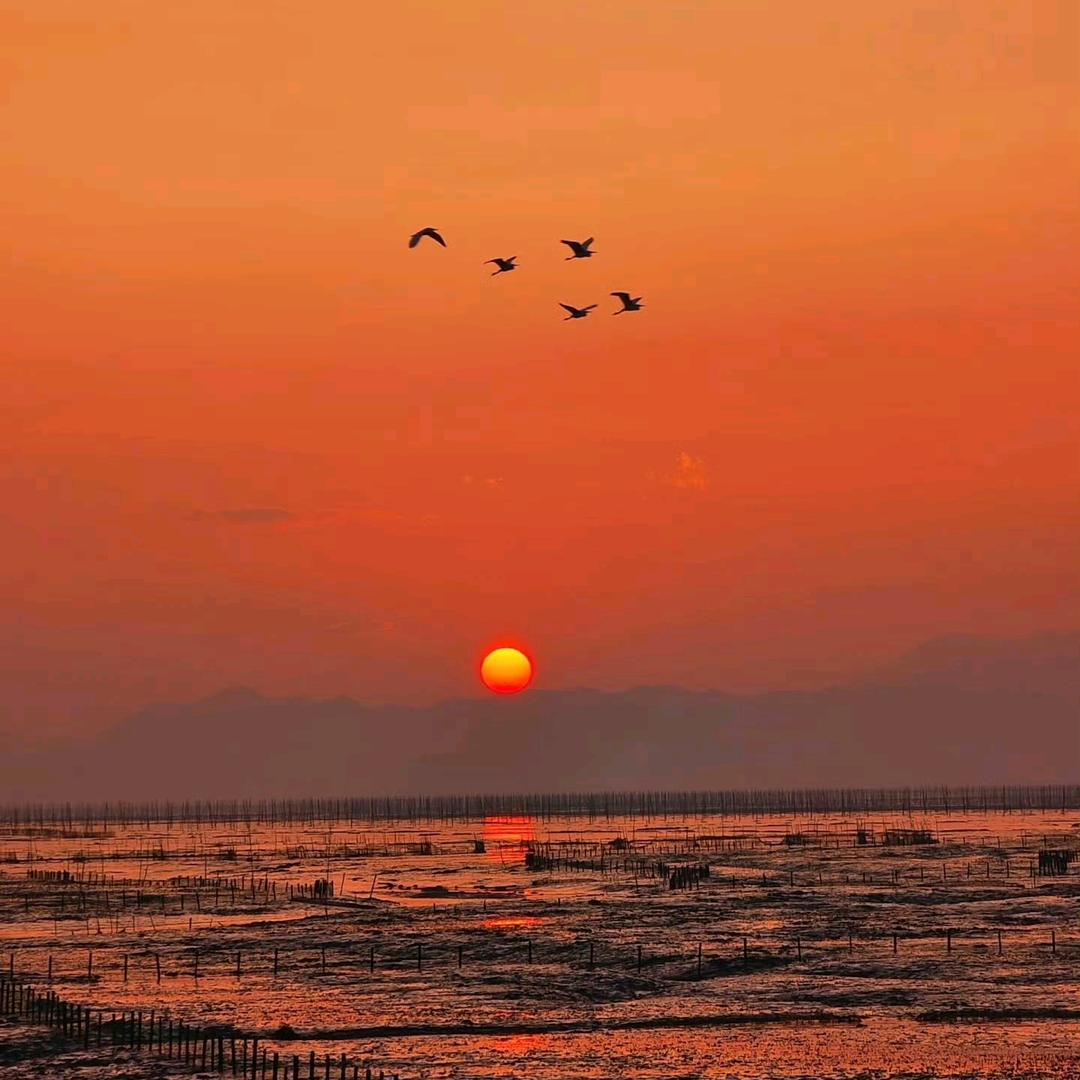 巴蒂斯图塔创意屋