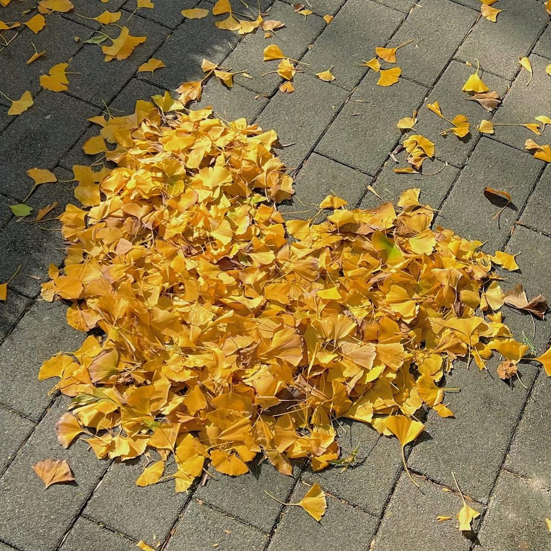 Charlie Kevin箱包店