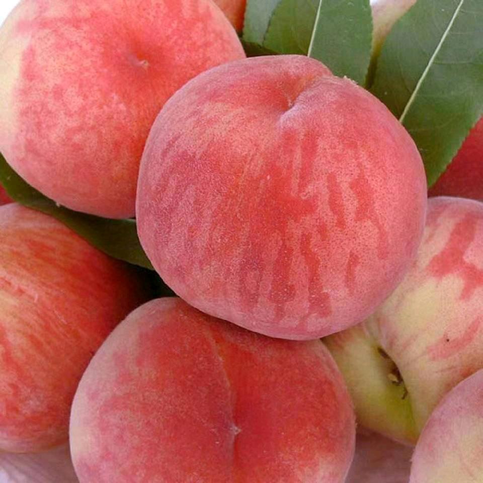 跑在最前面的一个