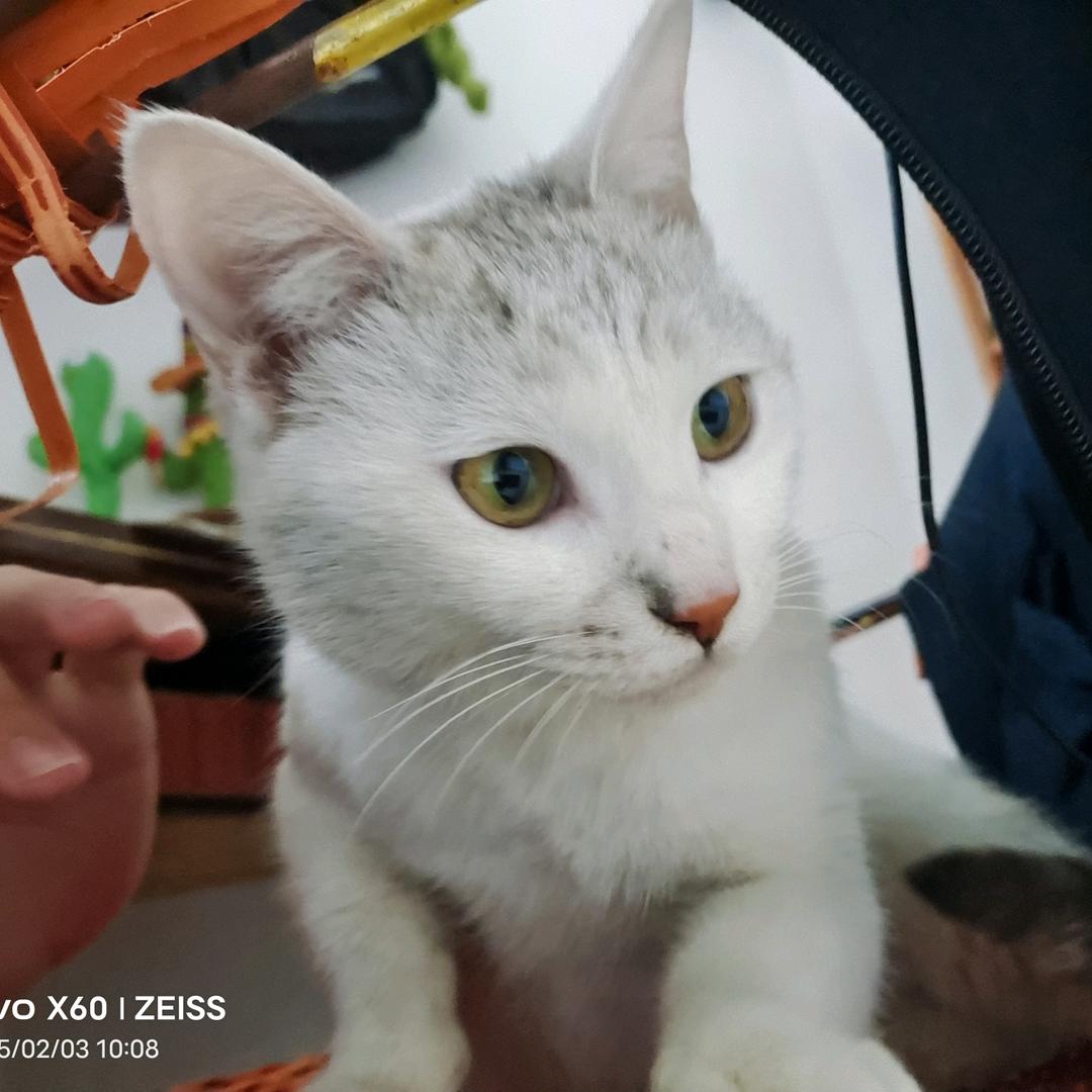 (๑˙ー˙๑)月长