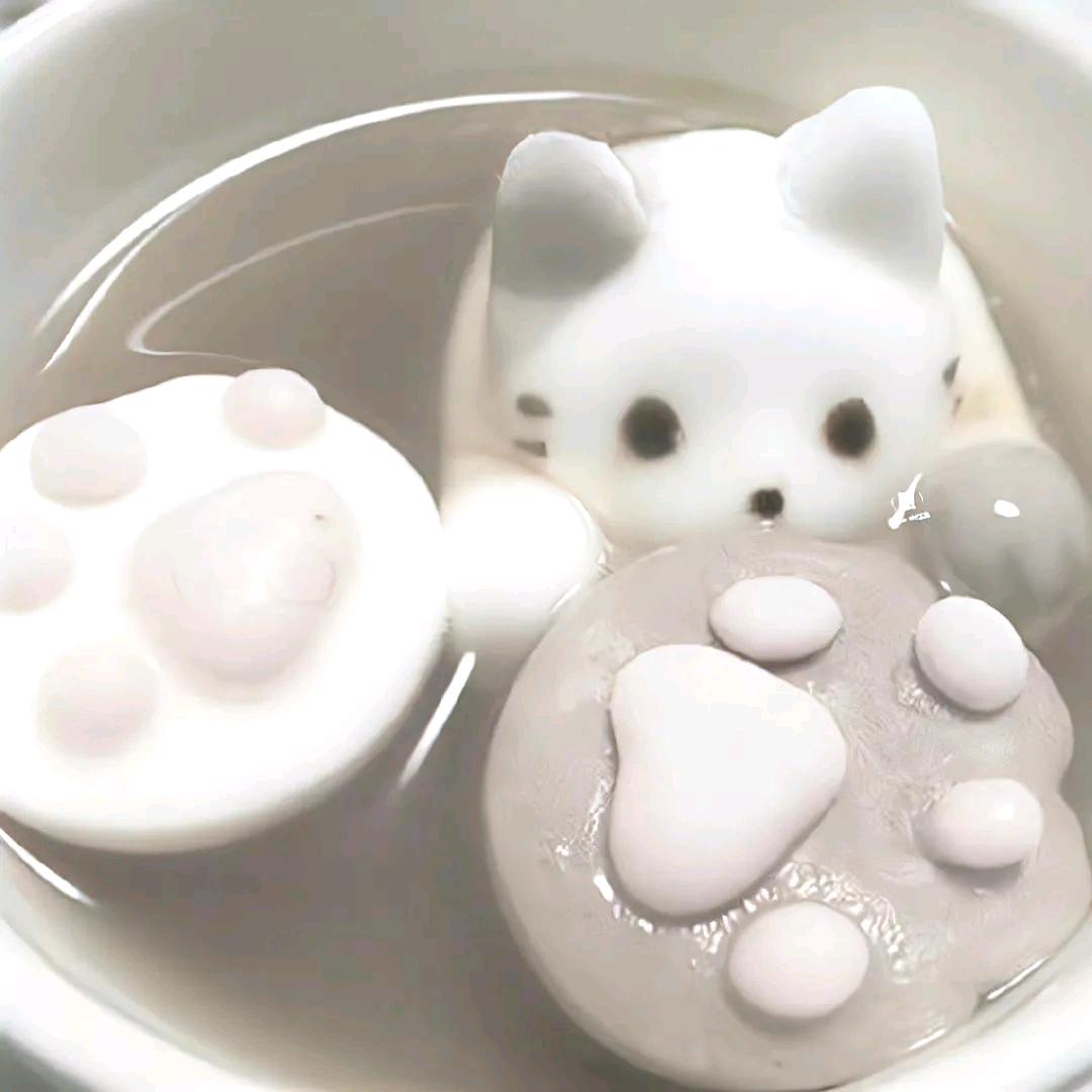 小猫吃鱼