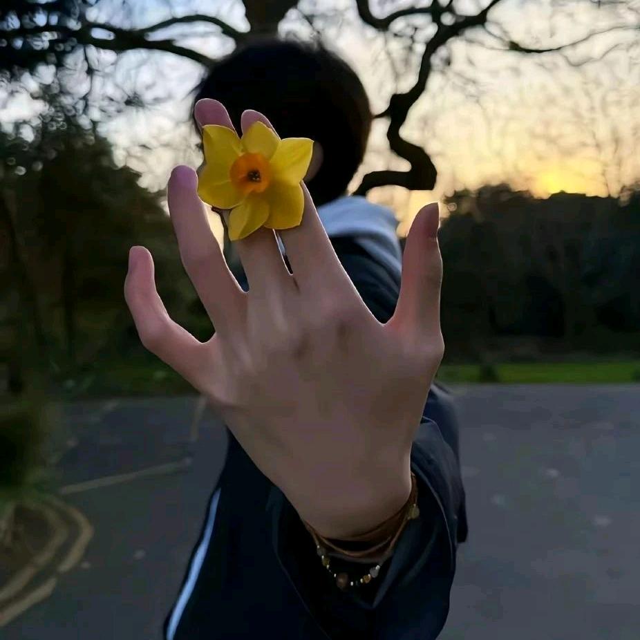 不必遗憾