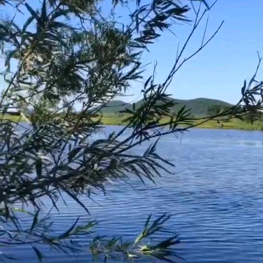 珍惜