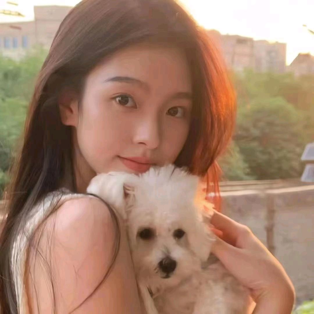 落叶无情风自在