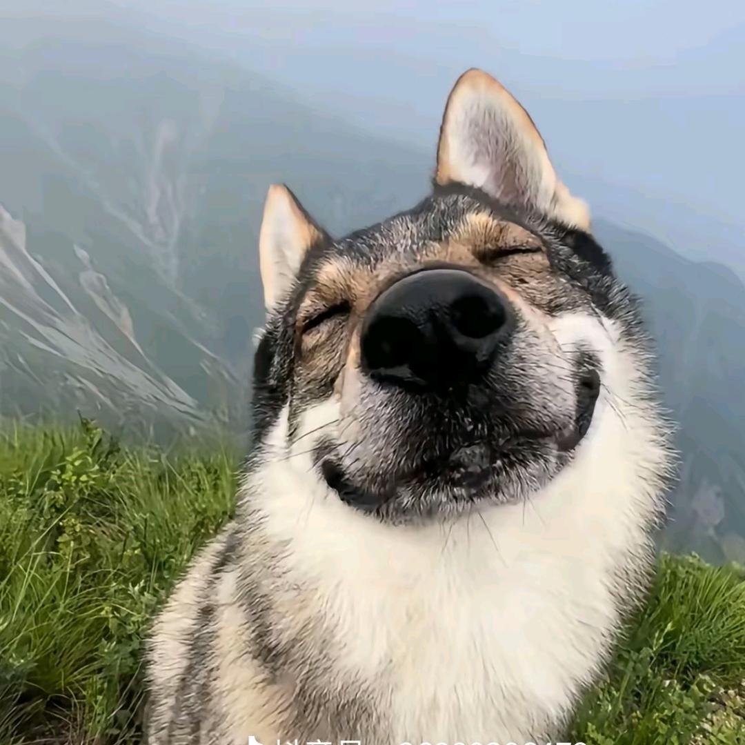良人🫠🫠
