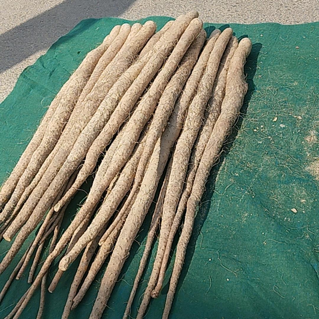 摆摊王