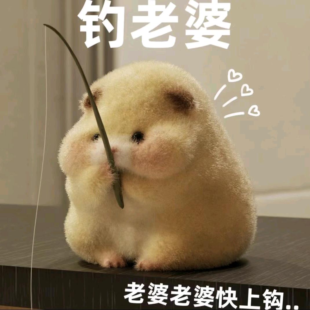 星辰（道友来挖宝）