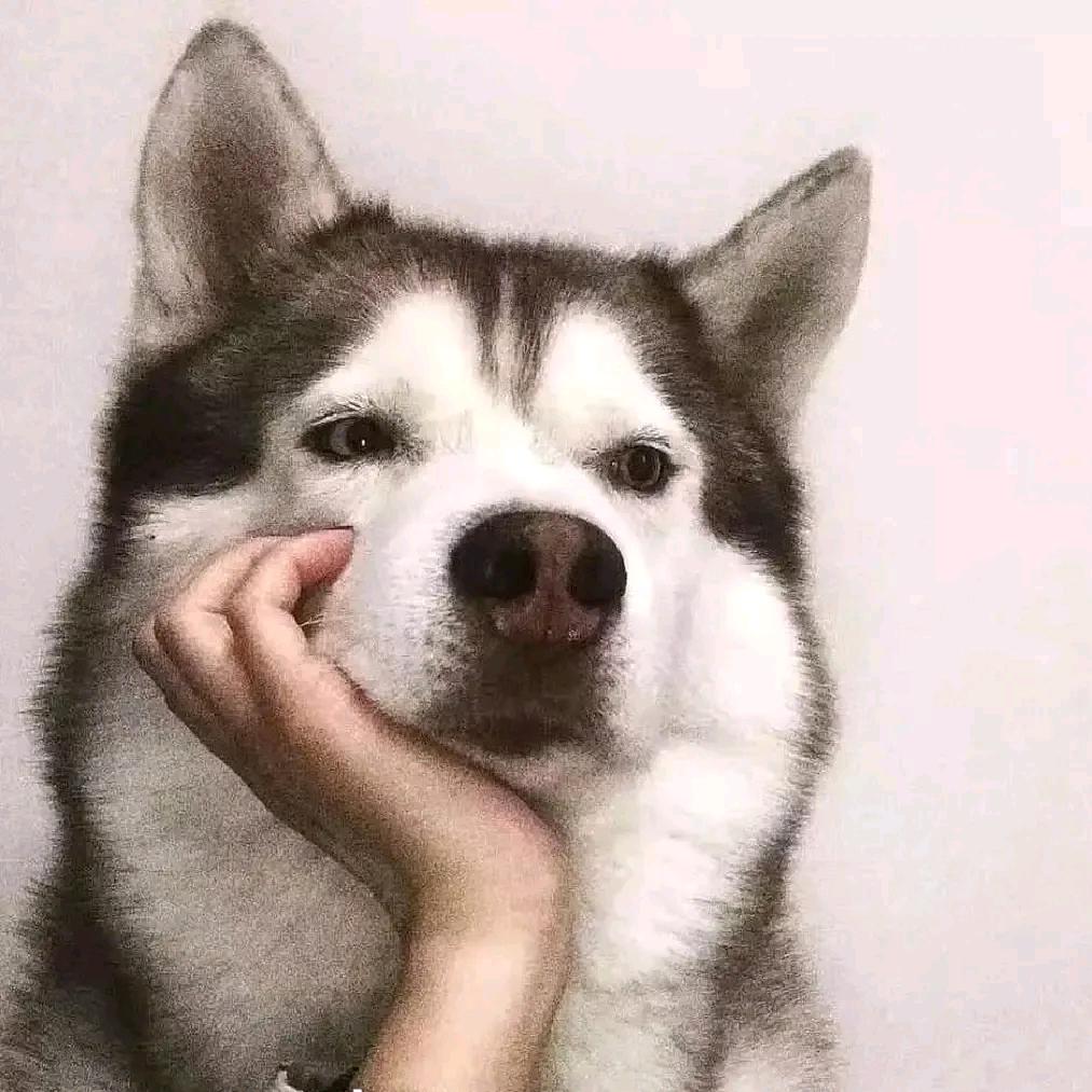 我从来不用碘伏