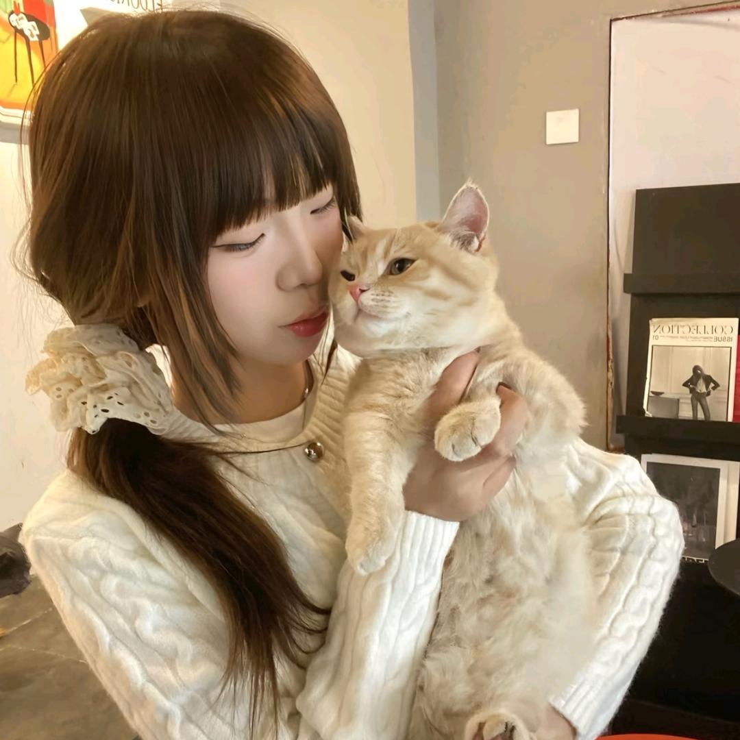 大婉婷.🌷