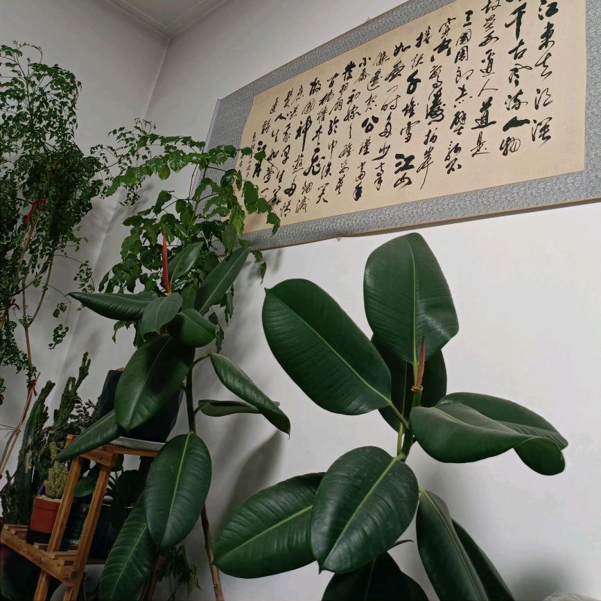 ༄༅༒小鹤༊༃