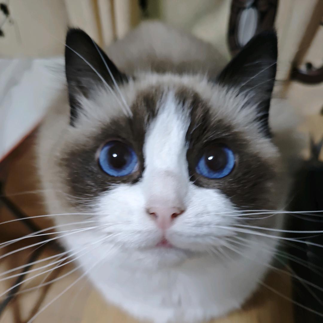 🐂¹⁹₈₅姓何滴℘࿐