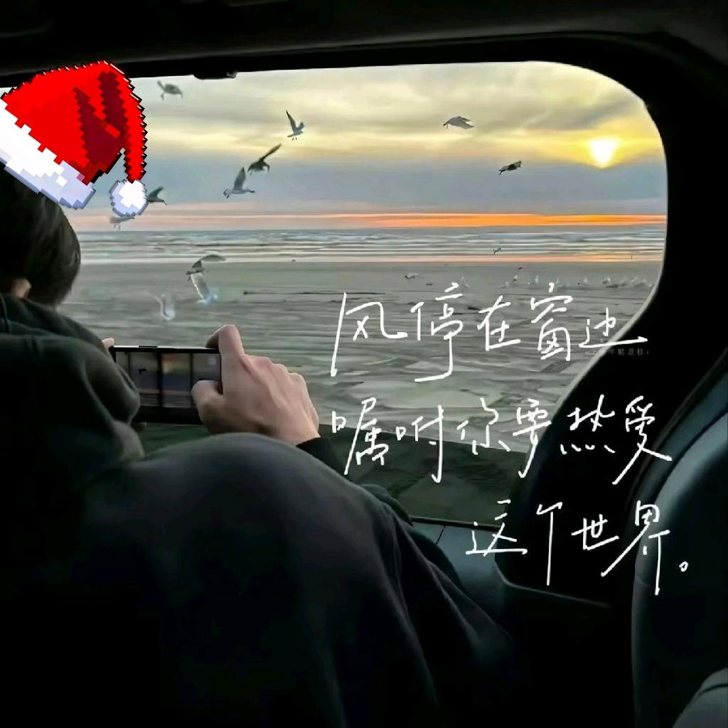 雾不清