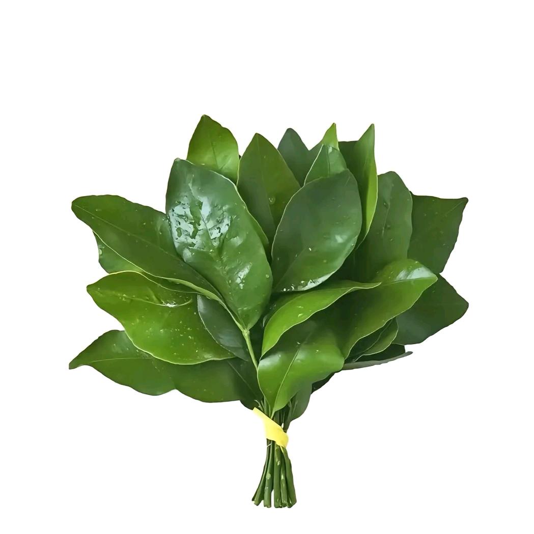 柠檬🍋水（唯粉）
