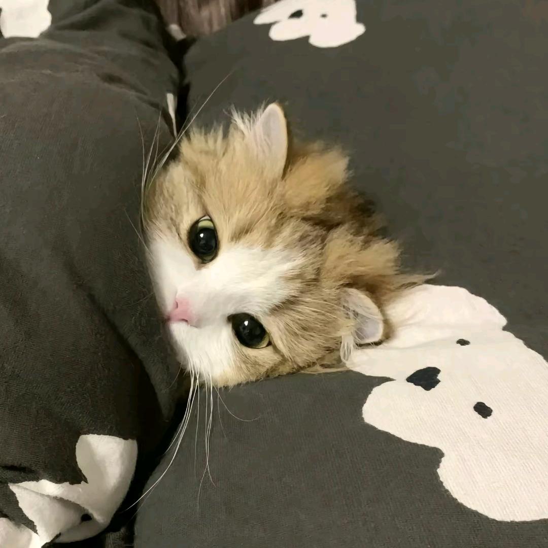 濯