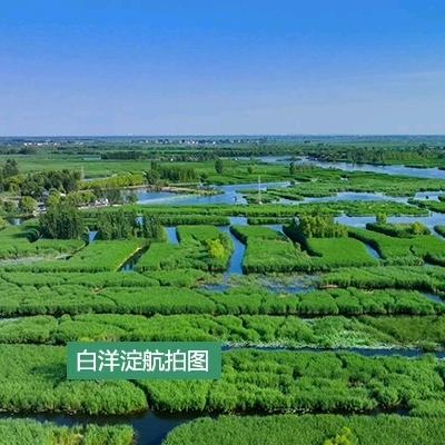 小黄白洋淀特产店