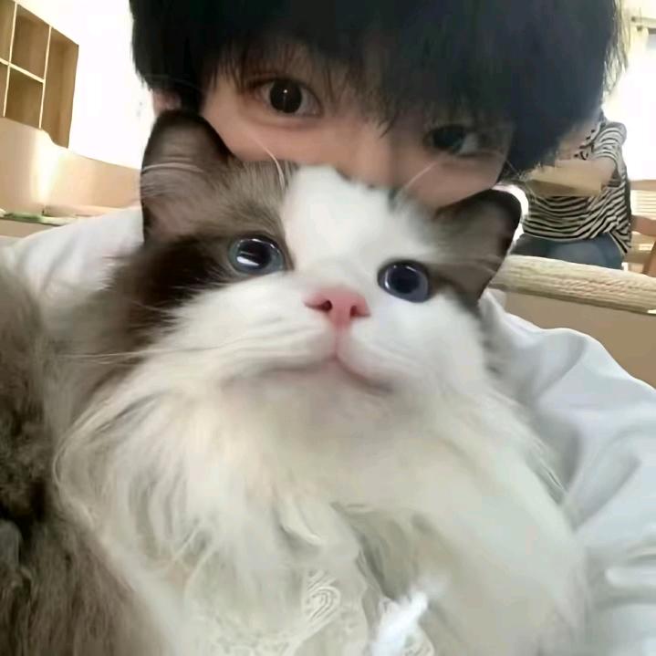 寒璃晚玉