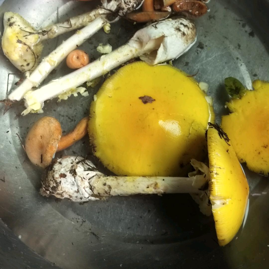 开心快乐每一天