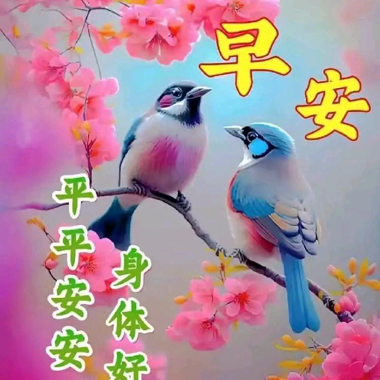 1复:/ 制💰填我邀请码【834471