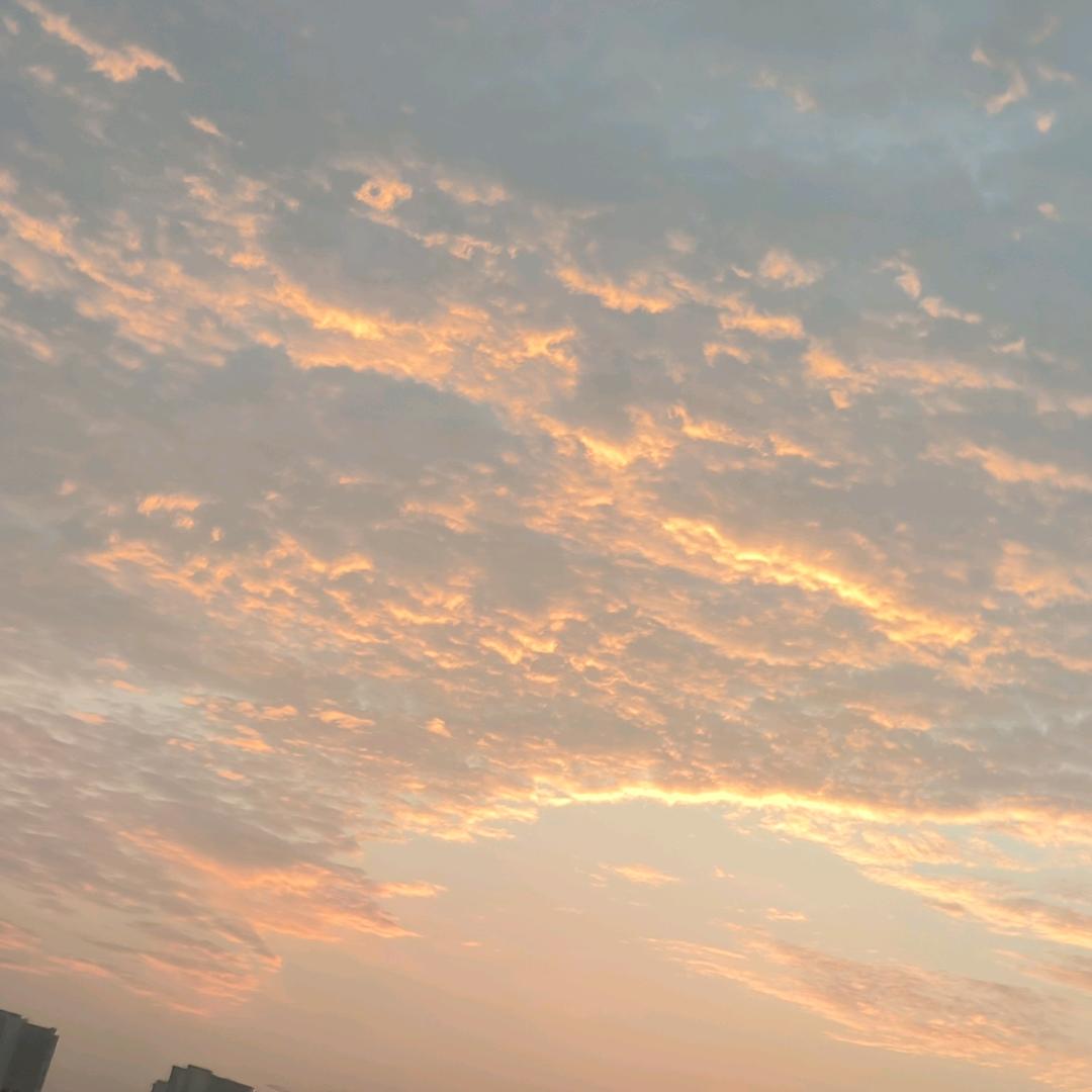 余生请多多指教