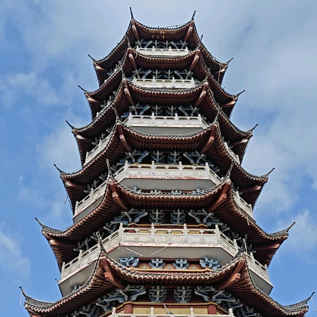 鹊鸦