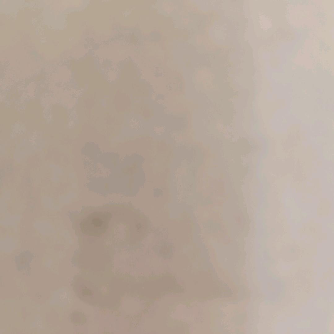 鱼鹰