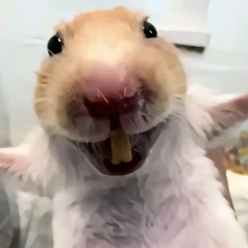 阿童木