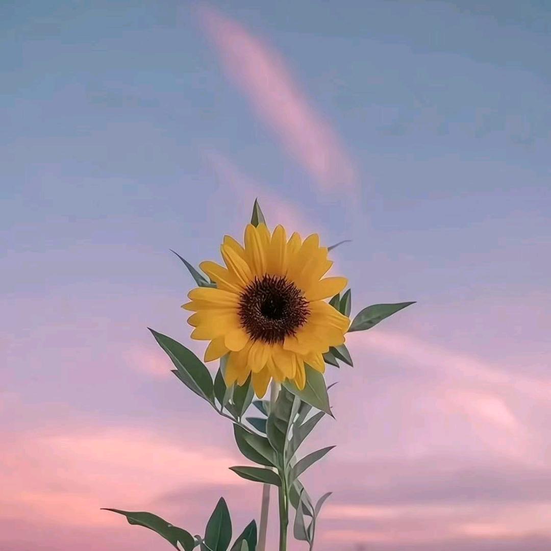 徐姐