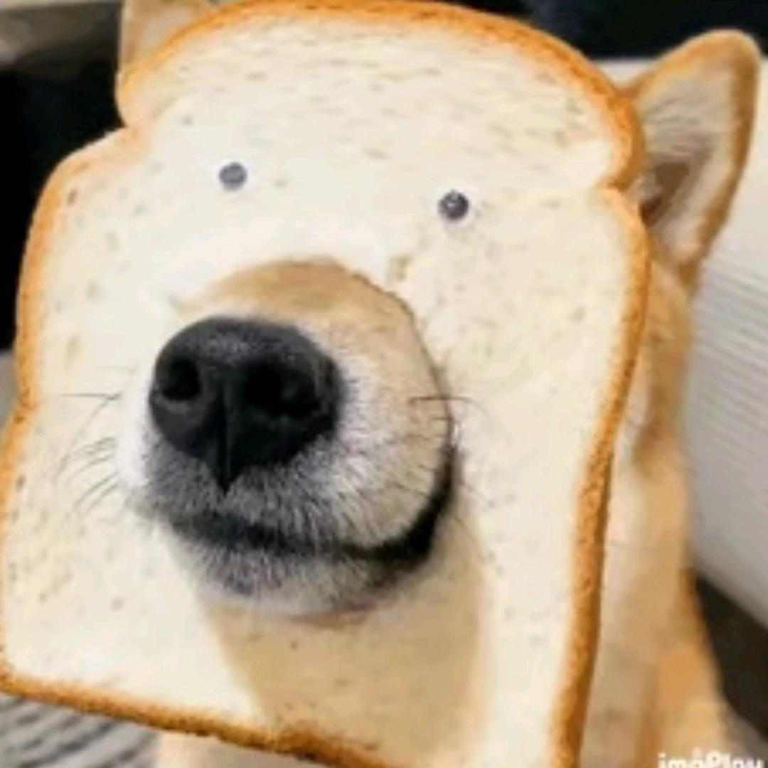 ❤️໑ღ᭄鹭岛༺夏雨꧔ꦿ᭄💞