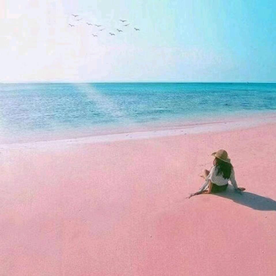 水志