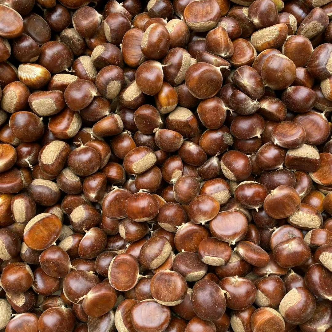 在北京批发栗子的第20年