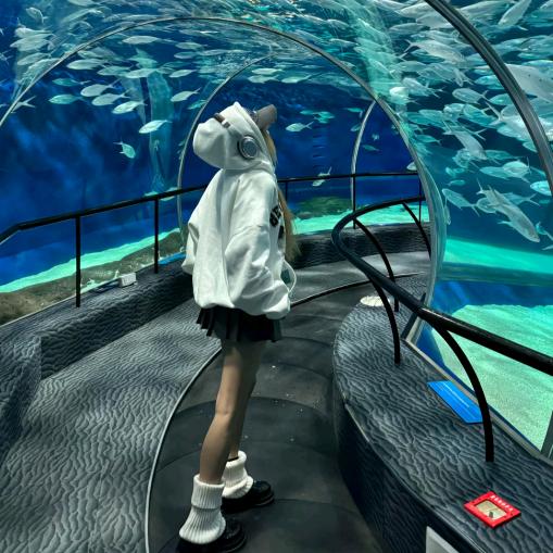 ㅤ ㅤㅤ ㅤㅤㅤㅤㅤㅤ ㅤㅤㅤㅤㅤ悦琪