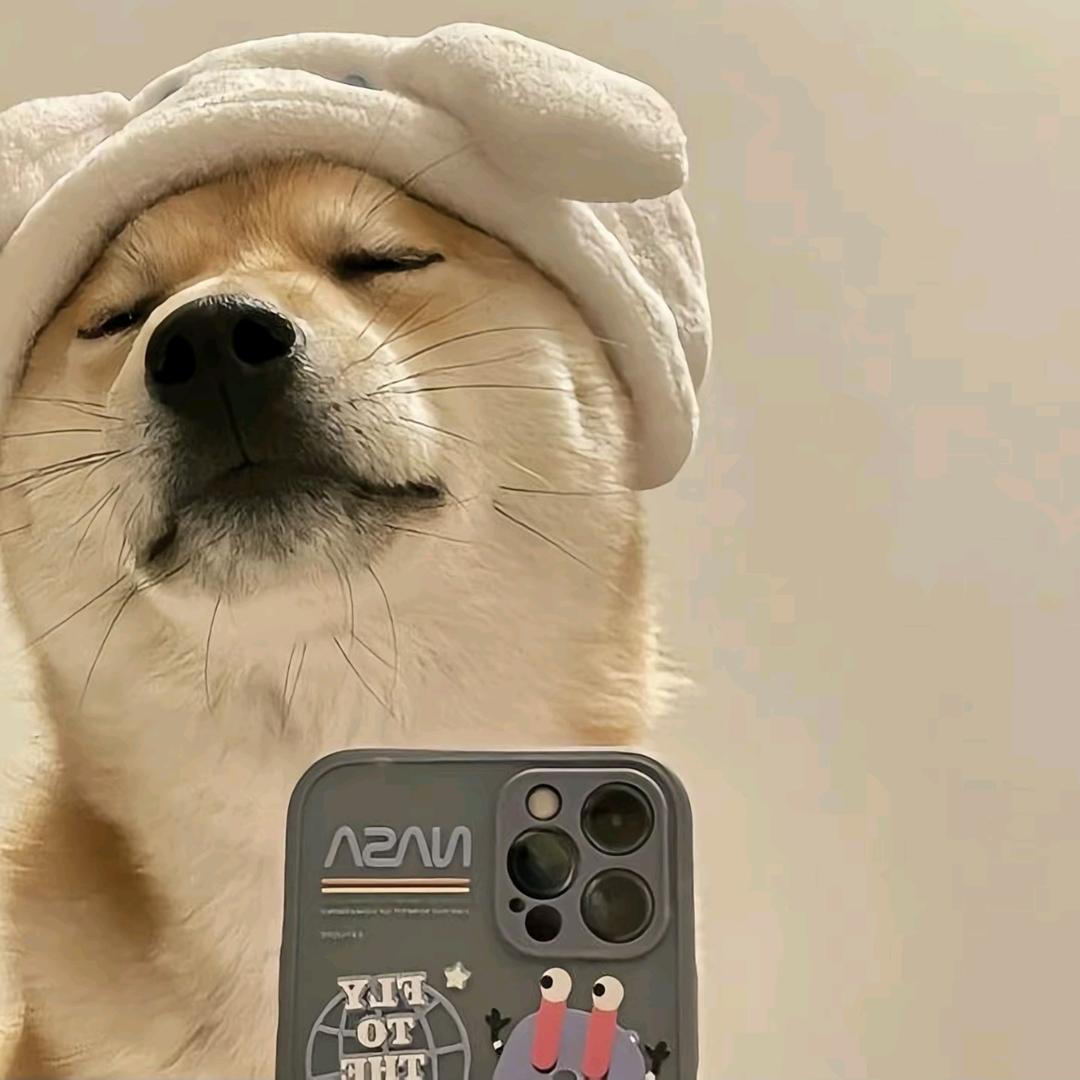 宁愿静止✔