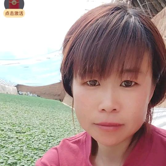 夏县北晋村~~~蔬菜苗