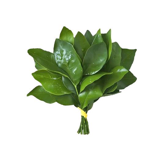 我脑子转不动