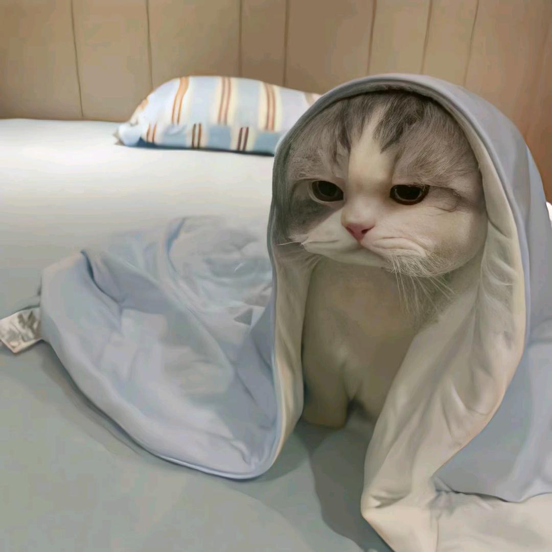 小丸子。
