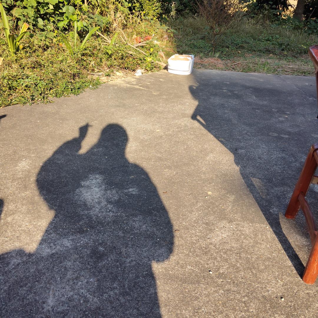 八月牛