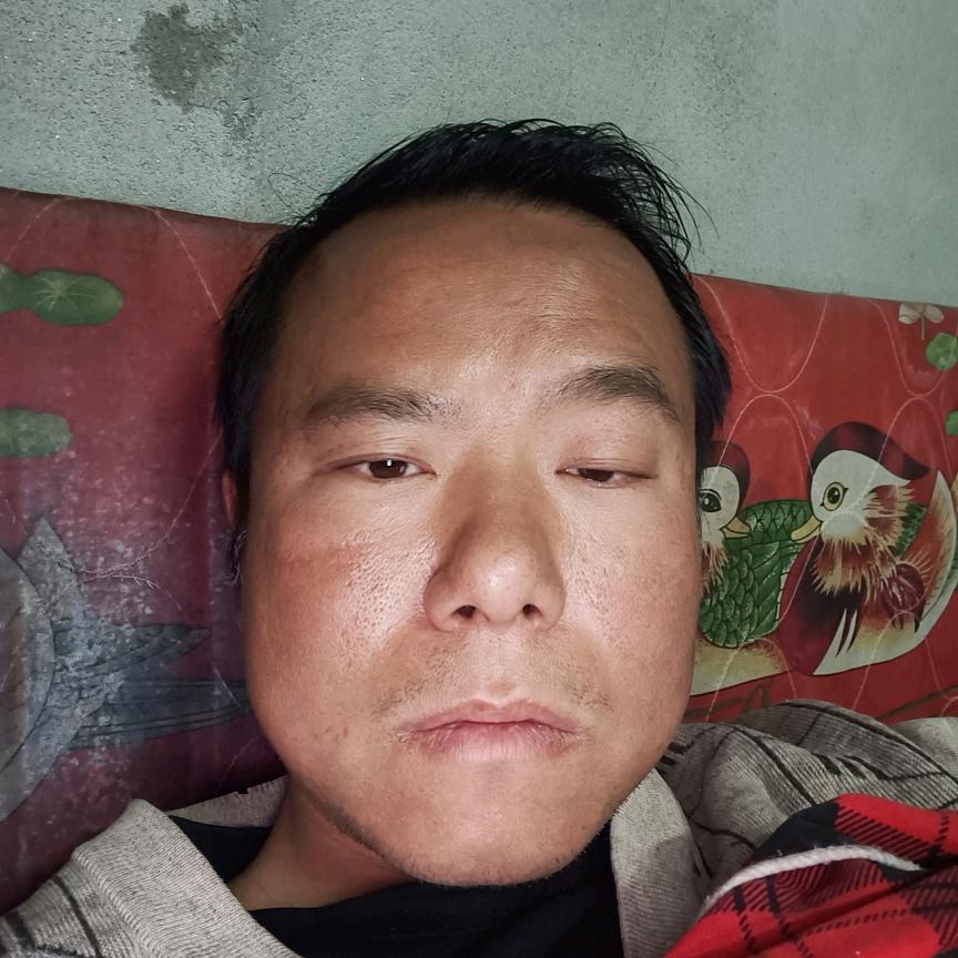董波