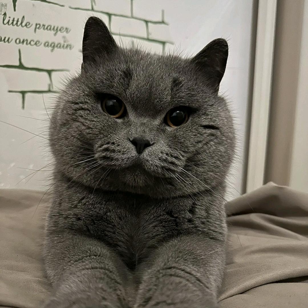 : ಇ᭄