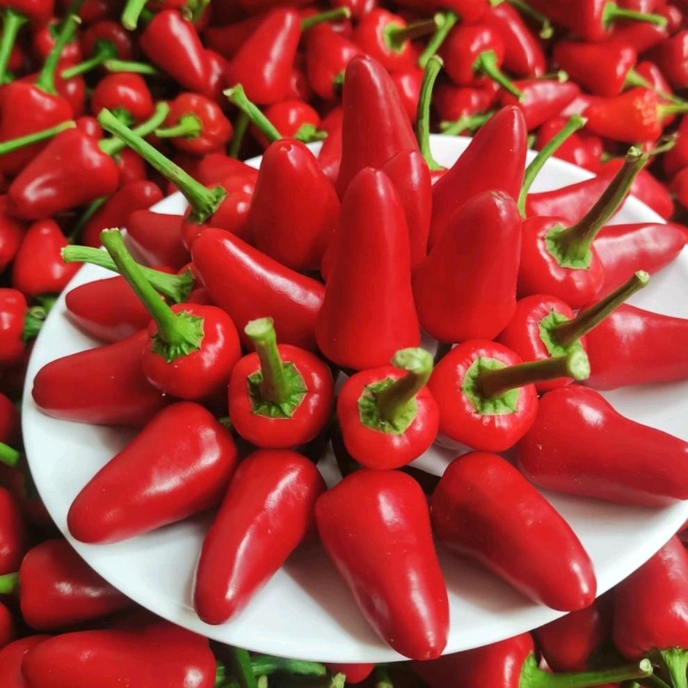 🌻💞💞꧁浅忆ღ꧂💞💞🌻