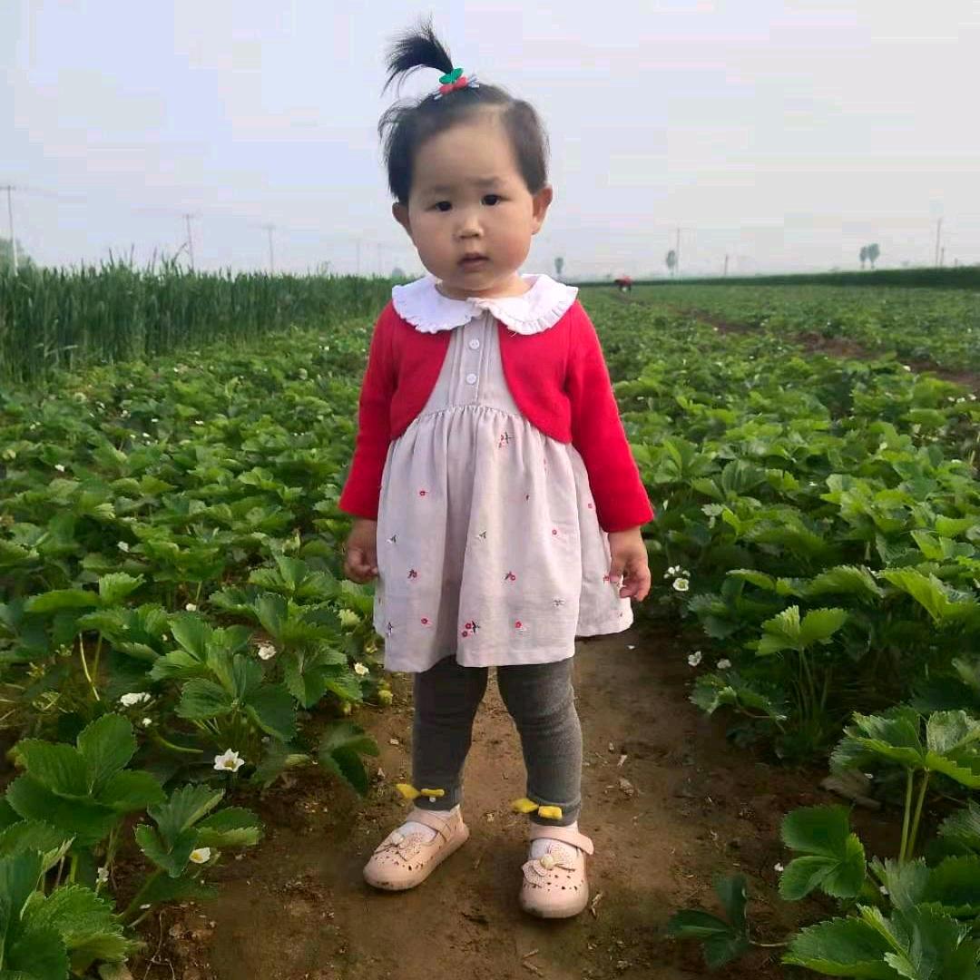 绿春的西里尔