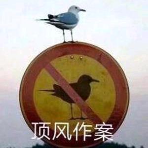 这周四VIVO50