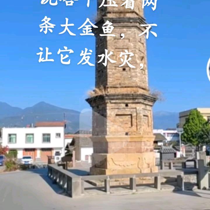 照俊