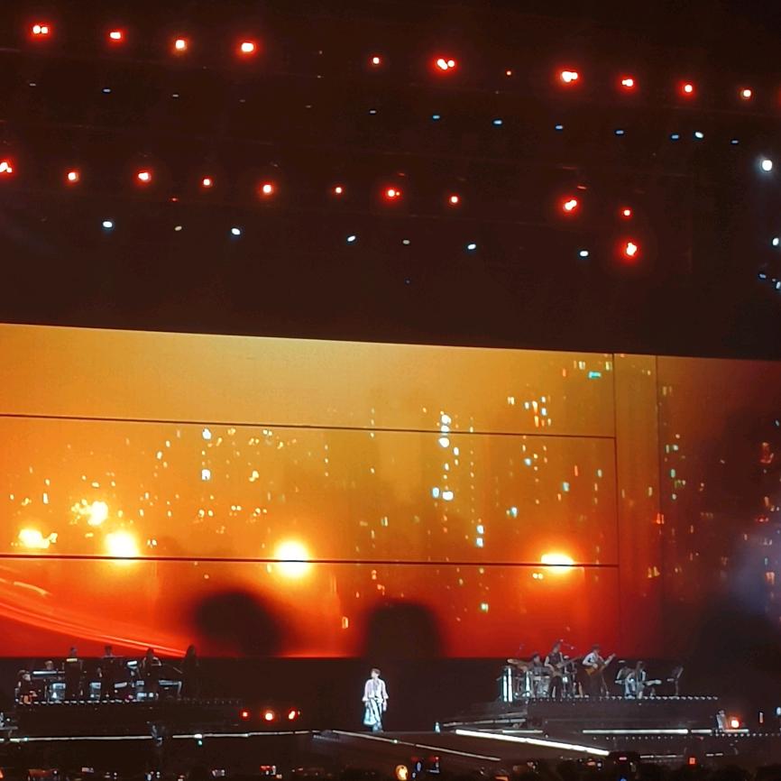 锦鲤鱼(见过王源版)