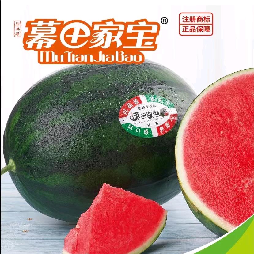 小苗果业