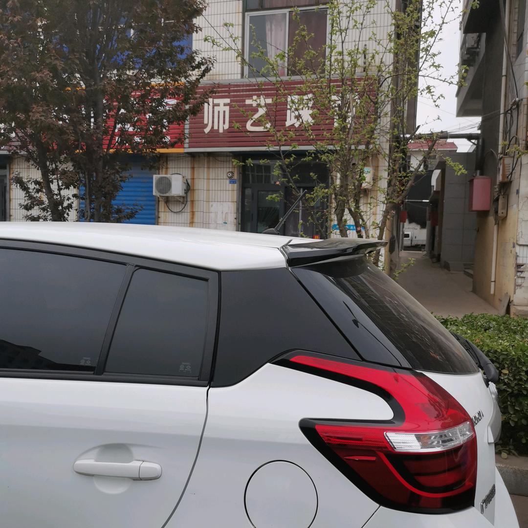 金鹏