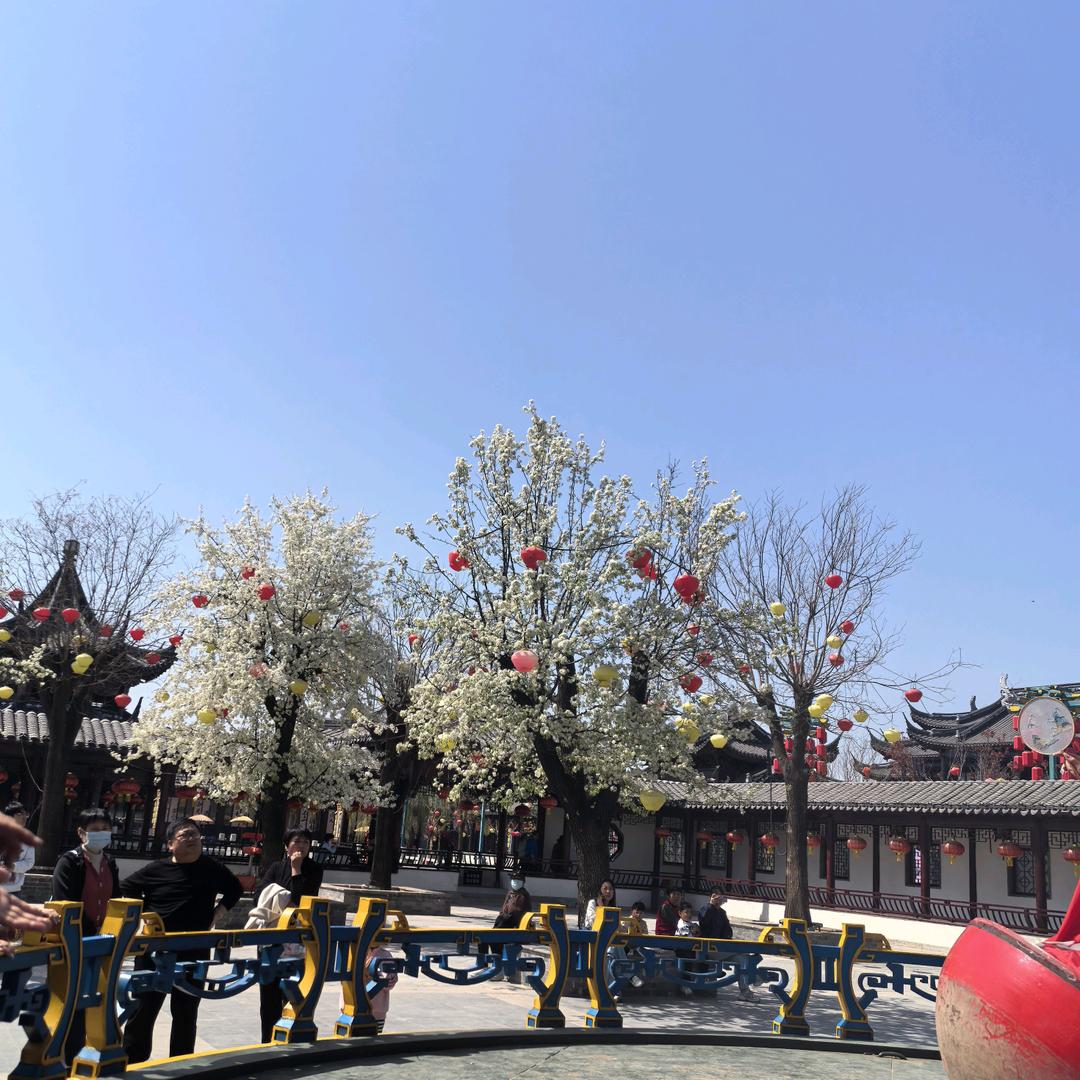 智轩师兄