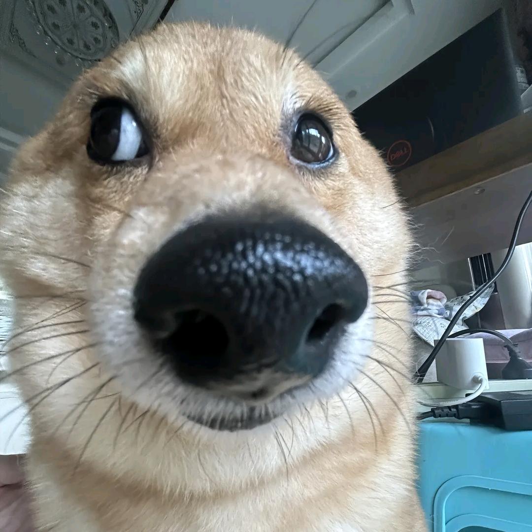 墨谦